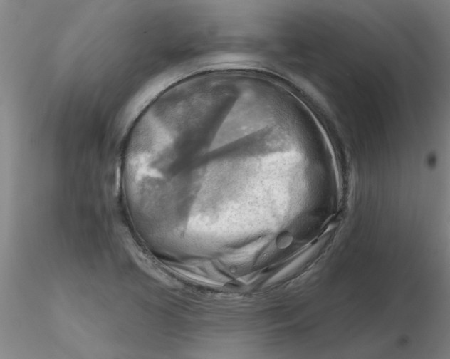 X0000116301413200912211852