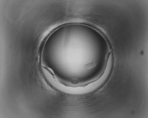 X0000116301414200912211852