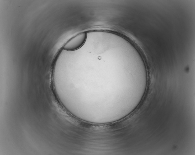 X0000116301415200912211852