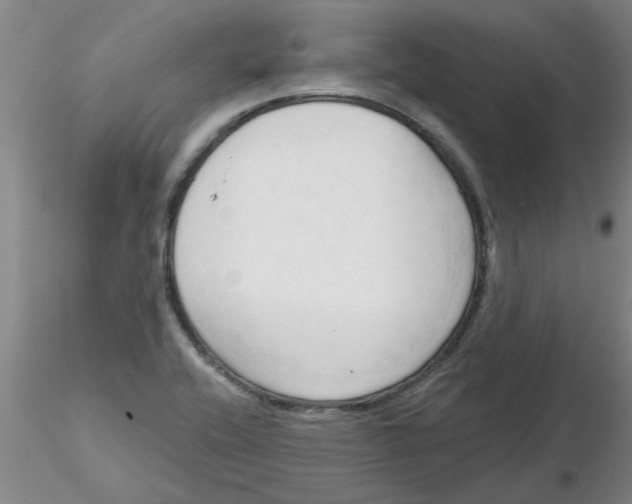 X0000116301416200912211852