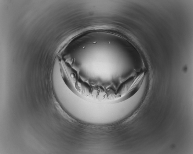 X0000116301417200912211852