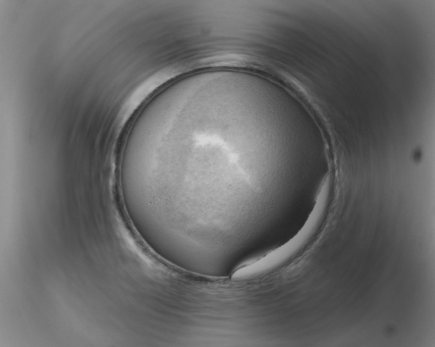 X0000116301418200912211852