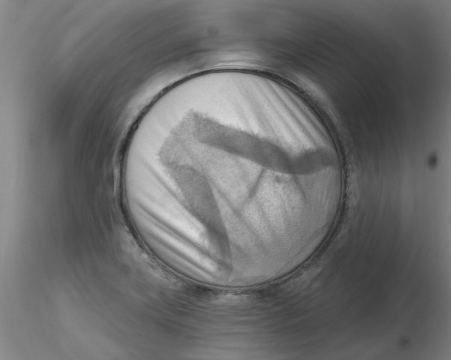 X0000116301419200912211852