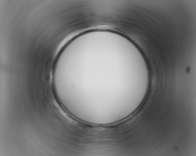 X0000116301420200912211852