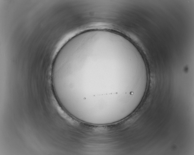 X0000116301421200912211852