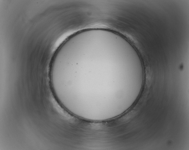 X0000116301422200912211852