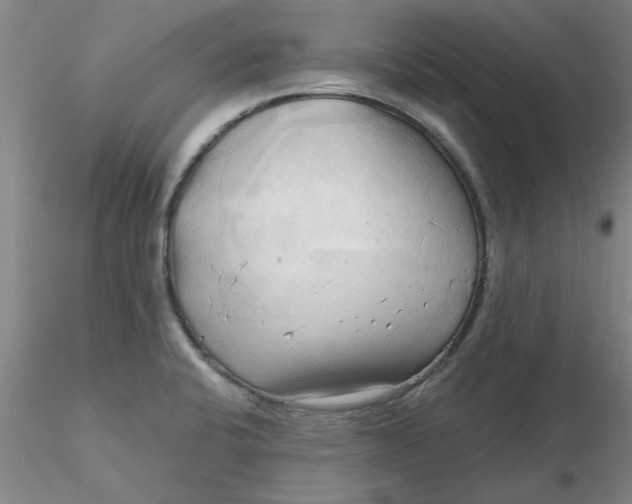 X0000116301424200912211852