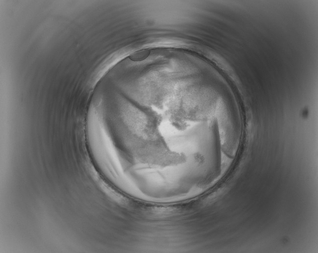 X0000116301425200912211852