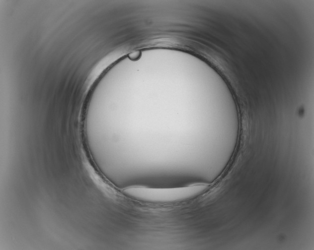 X0000116301426200912211852