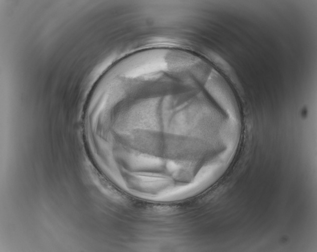 X0000116301427200912211852