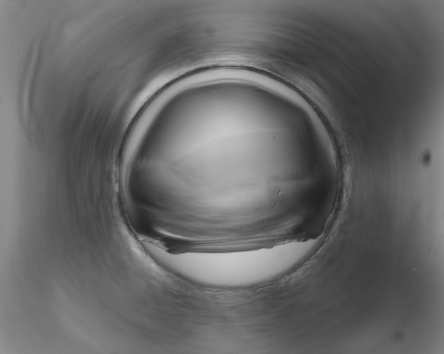 X0000116301428200912211852