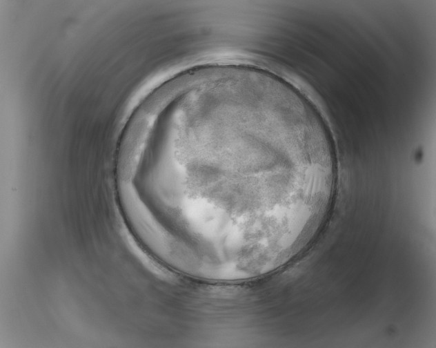 X0000116301429200912211852