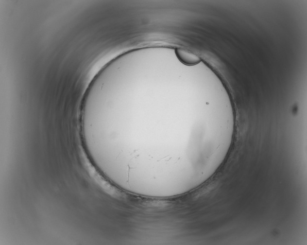 X0000116301431200912211852