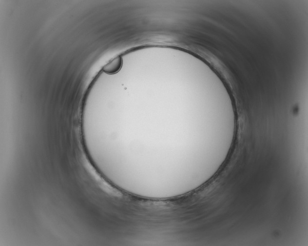 X0000116301432200912211852