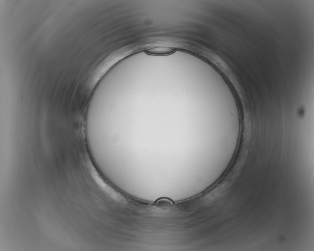 X0000116301433200912211852