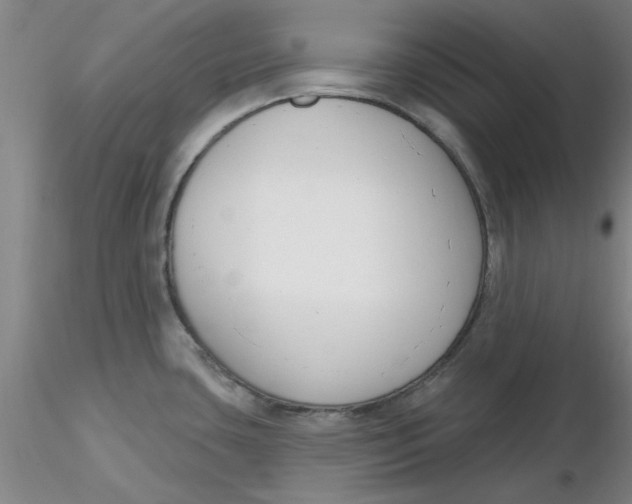 X0000116301435200912211852