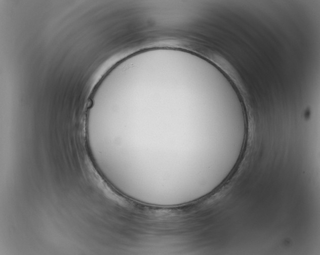 X0000116301436200912211852