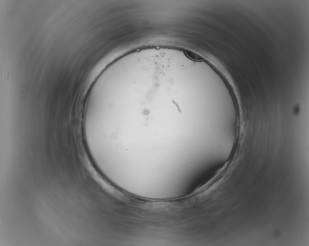 X0000116301437200912211852