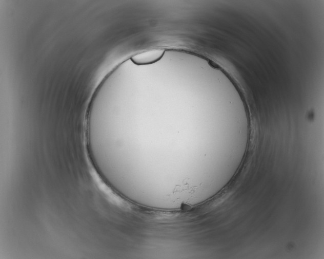 X0000116301439200912211852