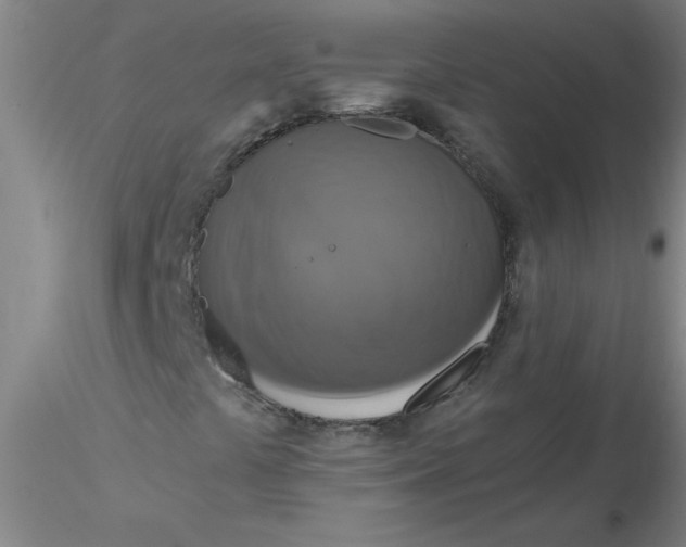 X0000116301441200912211851