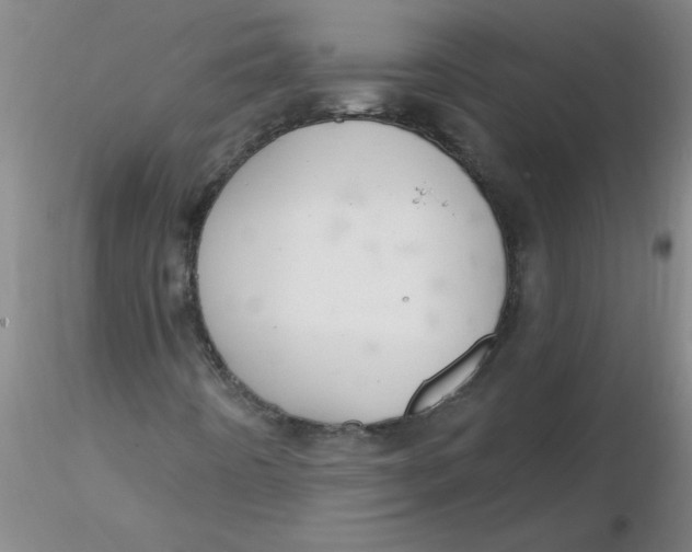 X0000116301442200912211851