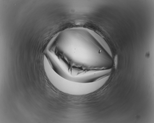 X0000116301443200912211851