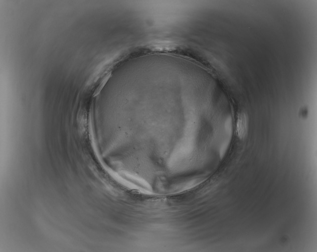 X0000116301444200912211851