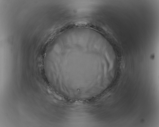 X0000116301445200912211851