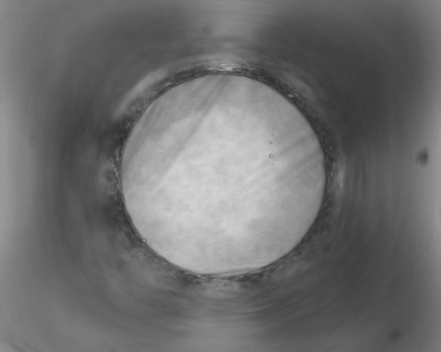 X0000116301446200912211851