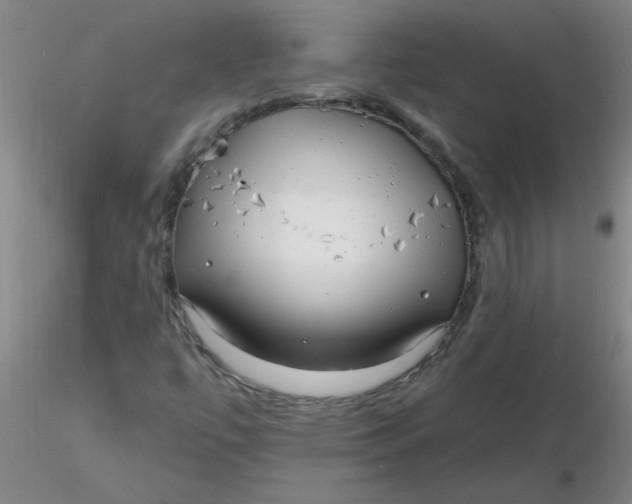 X0000116301447200912211851