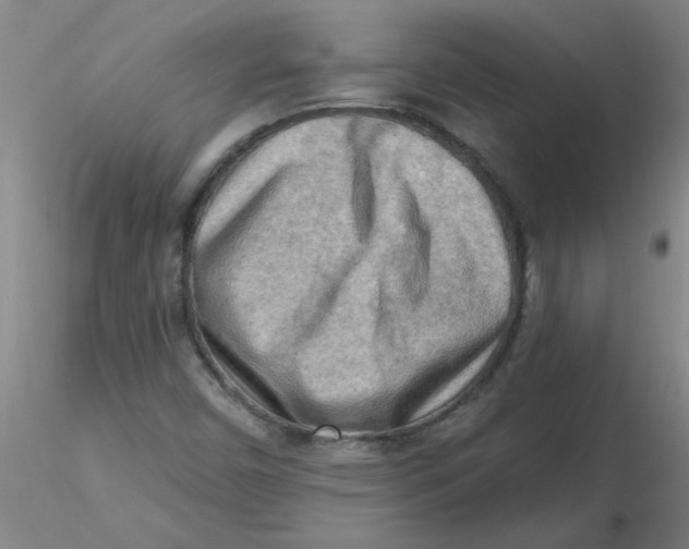 X0000116301450200912211851