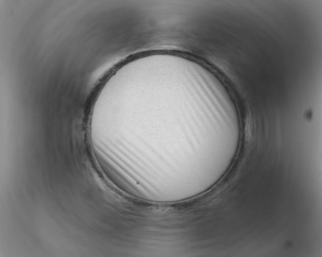 X0000116301452200912211851