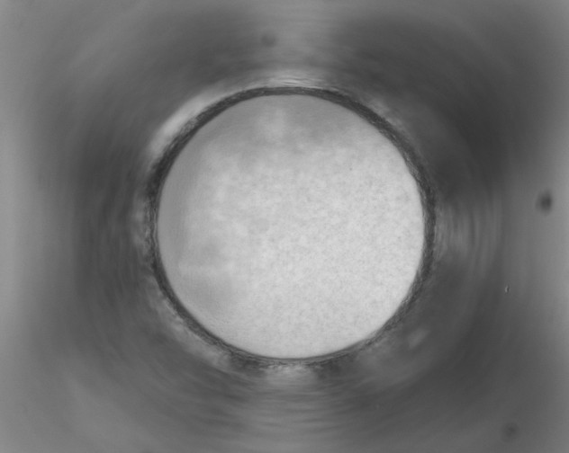 X0000116301454200912211851