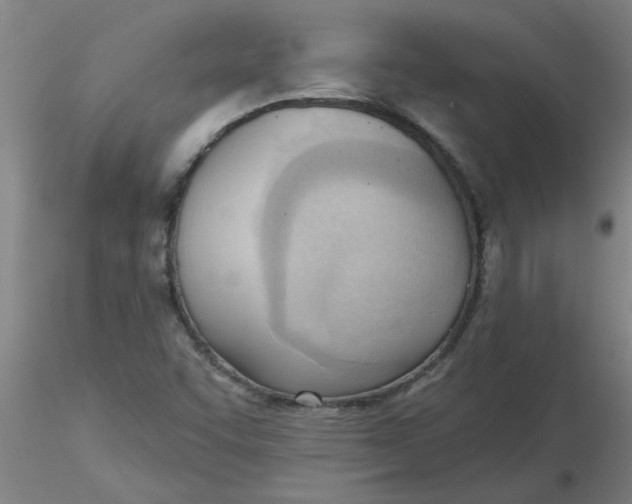 X0000116301455200912211851