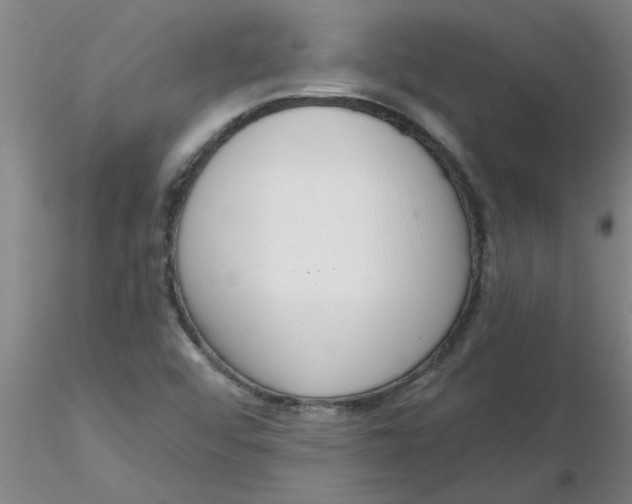 X0000116301456200912211851