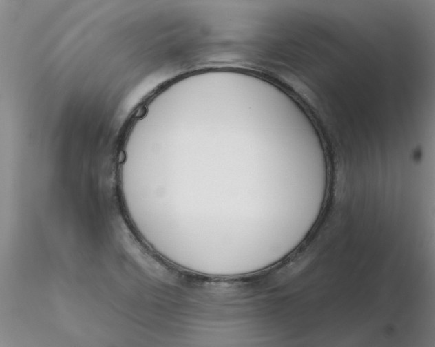 X0000116301458200912211851