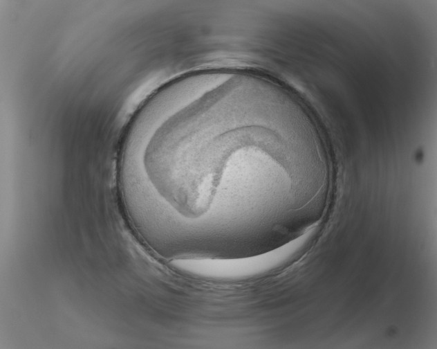 X0000116301459200912211851