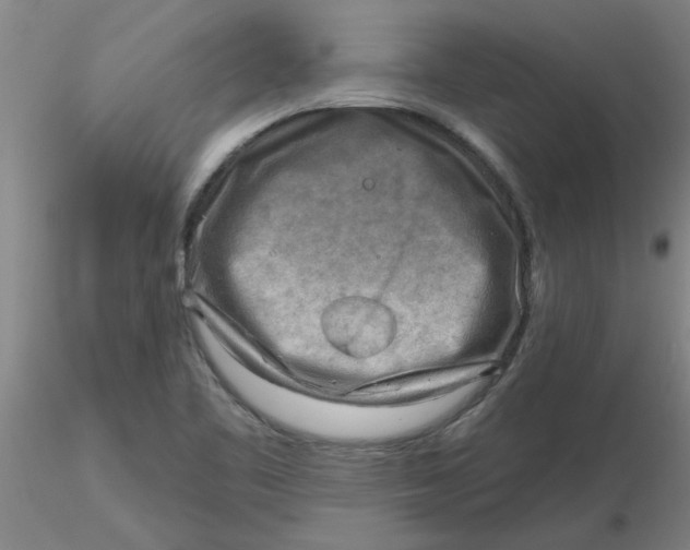 X0000116301461200912211851