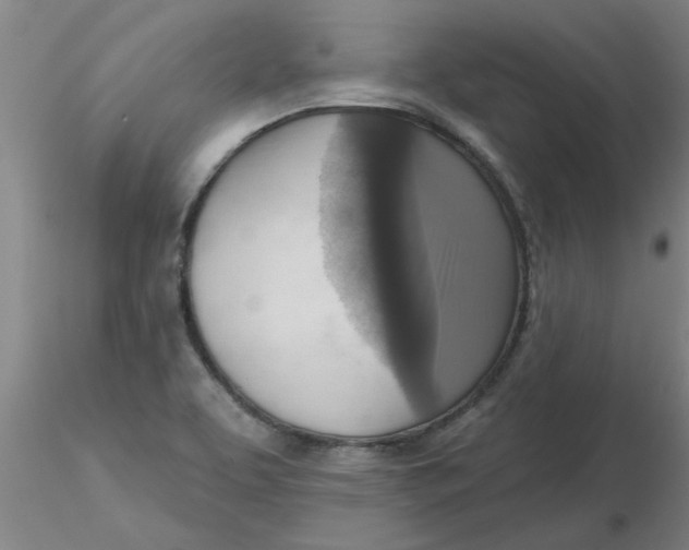 X0000116301463200912211851