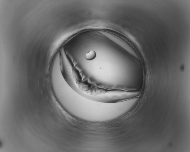 X0000116301464200912211851