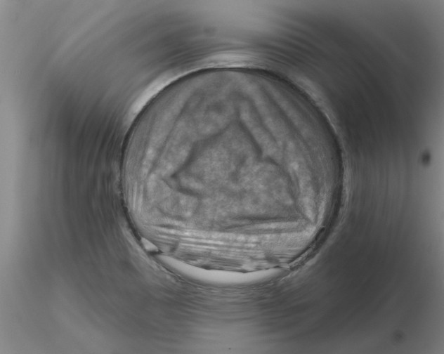 X0000116301465200912211851