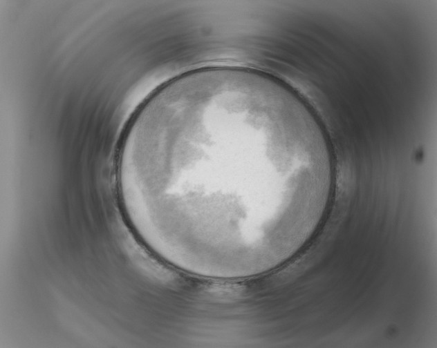 X0000116301466200912211851