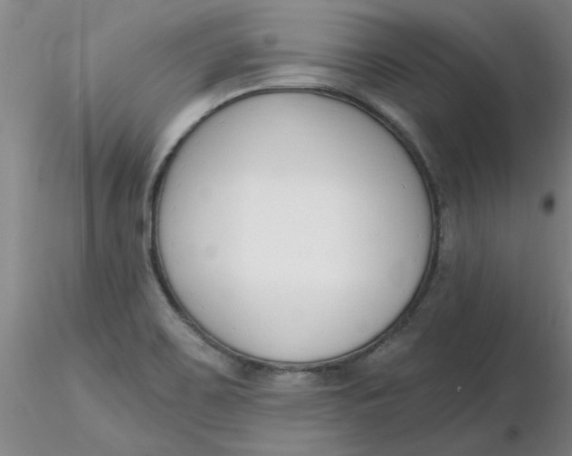 X0000116301467200912211851