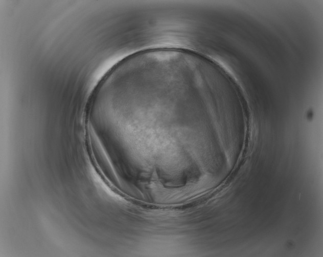 X0000116301468200912211851