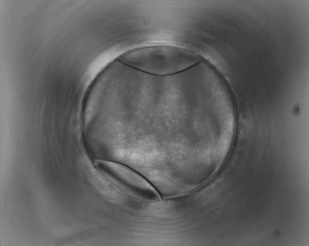 X0000116301469200912211851