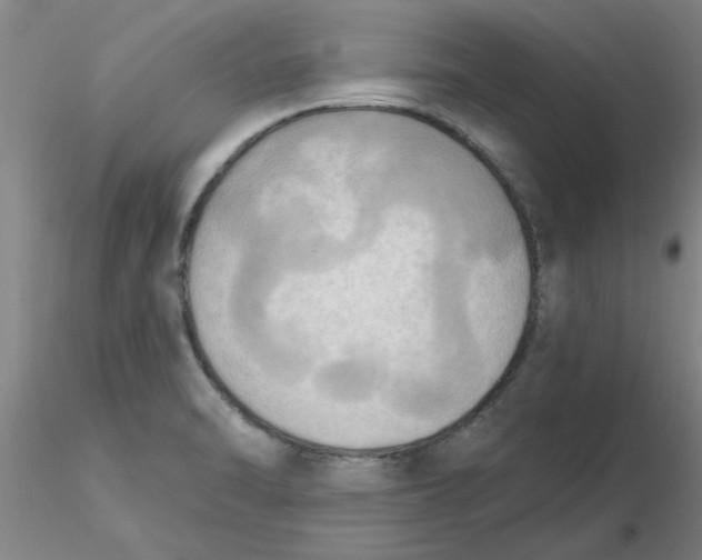 X0000116301470200912211851