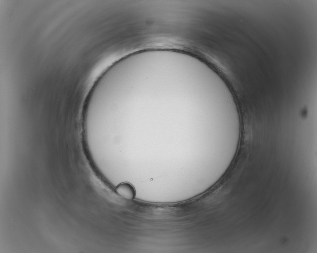 X0000116301471200912211851