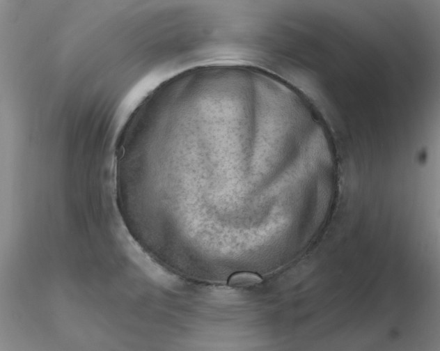 X0000116301472200912211851