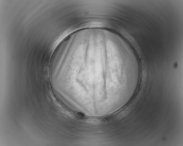 X0000116301473200912211851