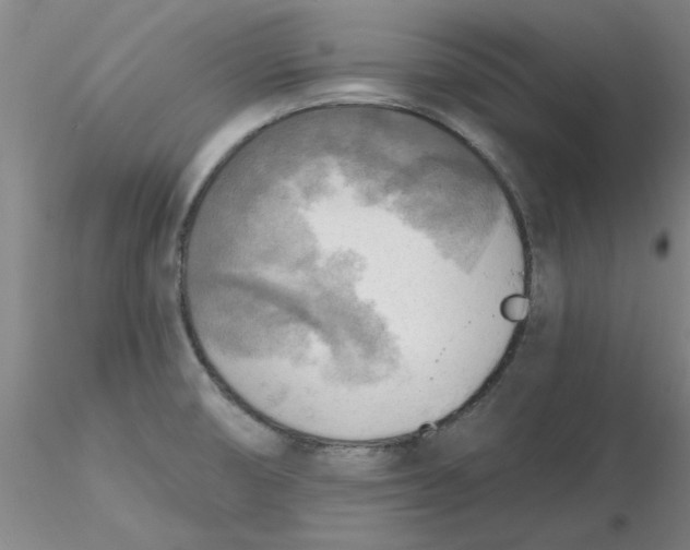 X0000116301474200912211851